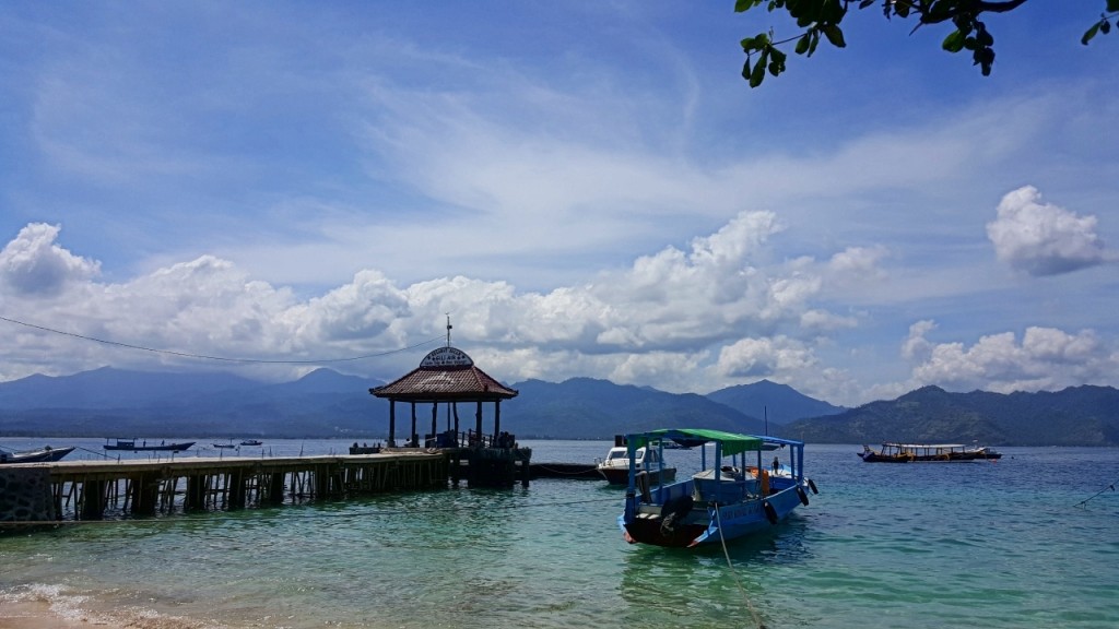 gili42